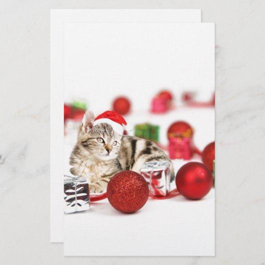 赤いサンタ帽子のクリスマスオーナメントを着た猫 便箋 (正面/裏面)
