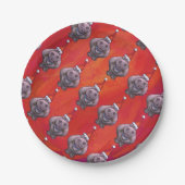 赤いサンタ帽子の可愛いヒッポ ペーパープレート (正面)