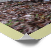 赤いシダが育つ場所 ポスター (角)