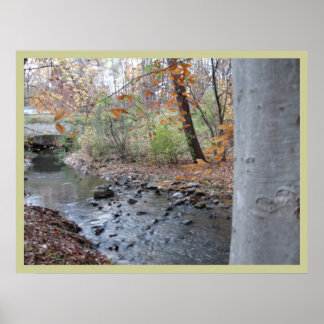 赤いシダが育つ場所 ポスター