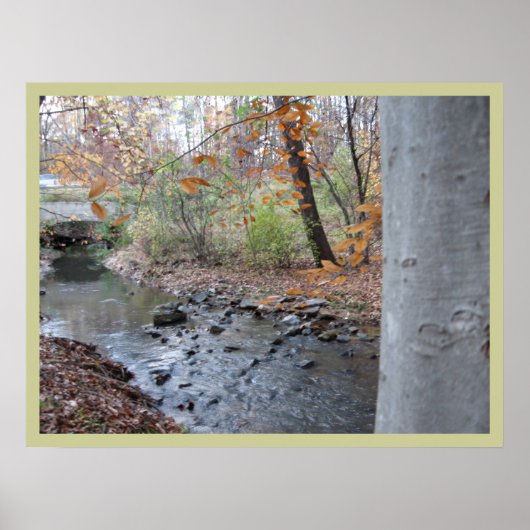 赤いシダが育つ場所 ポスター (正面)