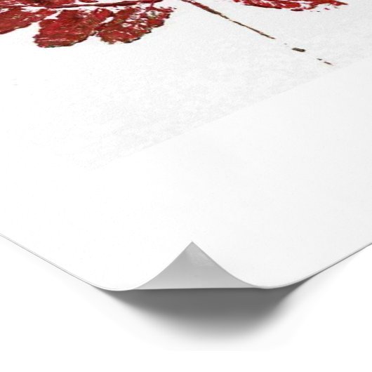 赤いシダ ポスター (角)