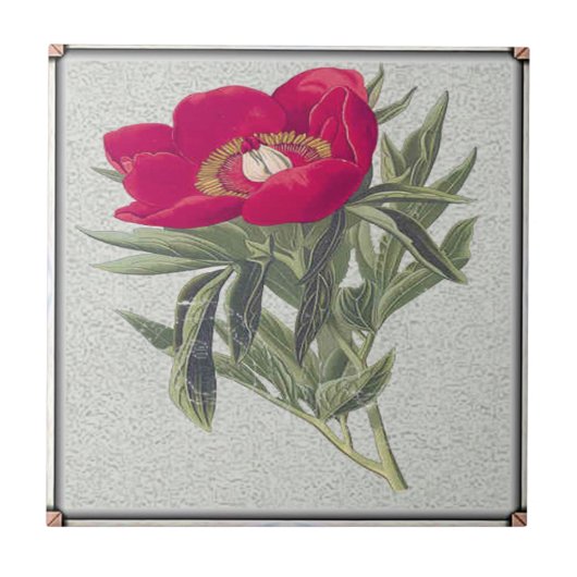 赤いシャクヤク タイル (正面)