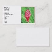 赤いショウガの水彩画 名刺 (正面/裏面)