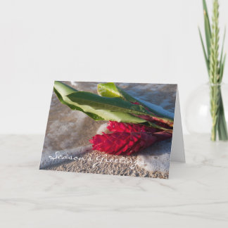 赤いショウガカード シーズンカード