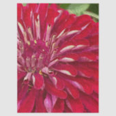 赤いジニアの花 薄葉紙 (正面)