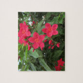 赤いジャトロファの花 ジグソーパズル (縦)