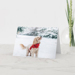 赤いスカーフの可愛い犬 シーズンカード