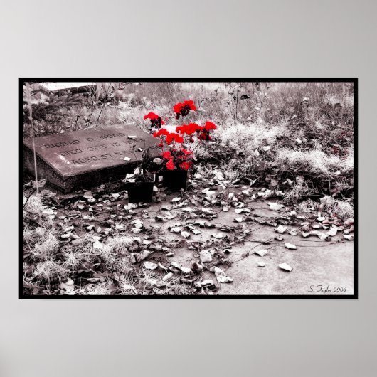 赤いスプラッシュ ポスター (正面)