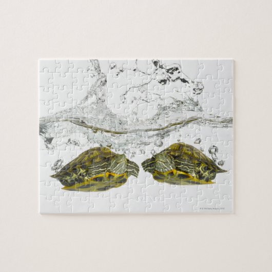 赤いスライダーカメ ジグソーパズル (横)