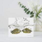 赤いスライダーカメ ポストカード (スタンド正面)