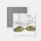 赤いスライダーカメ マグネット (正面/裏面)