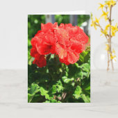 赤いゼラニウムの花の挨拶状、メッセージカード カード (黄色い花)