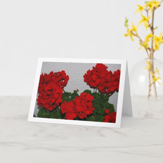 赤いゼラニウムの花、フラワーポートレート カード (黄色い花)