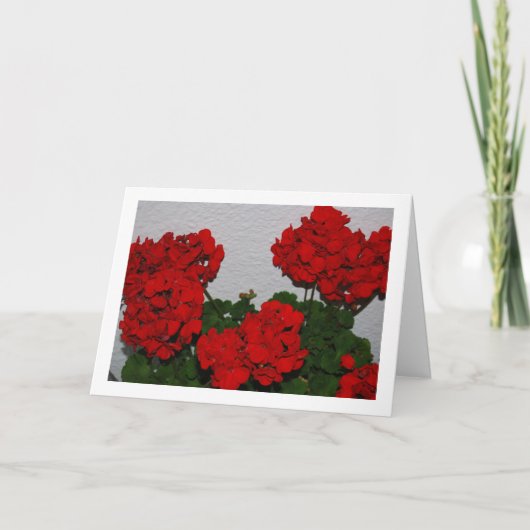 赤いゼラニウムの花、フラワーポートレート カード (正面)