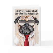 赤いタイおもしろいプの定年に入った主なパグ犬