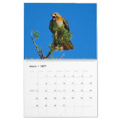赤いタカの飛行 カレンダー (3月 2027)