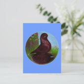 赤いタンブラー鳩サークル ポストカード (スタンド正面)