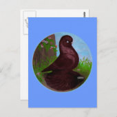 赤いタンブラー鳩サークル ポストカード (正面/裏面)