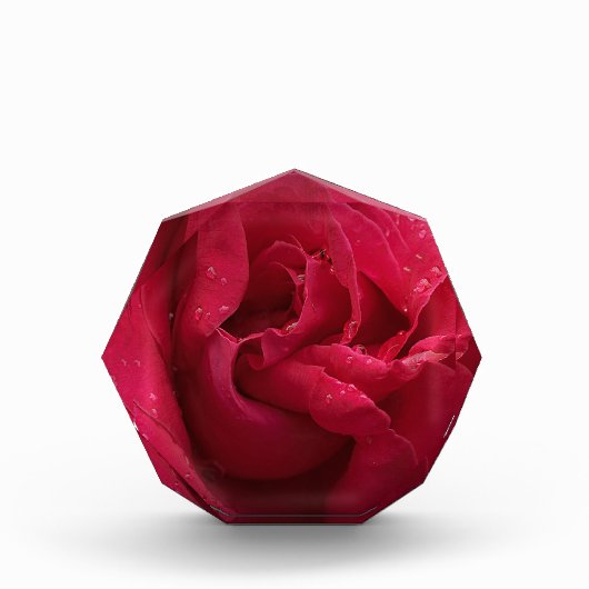 赤いダイヤモンド フォトブロック (正面)