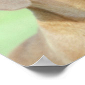 赤いダシュントのポスター ポスター (角)