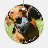 赤いダシュントの記念遺跡写真 セラミックオーナメント (裏面)