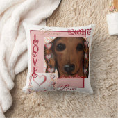 赤いダックスフンド クッション (ブランケット)