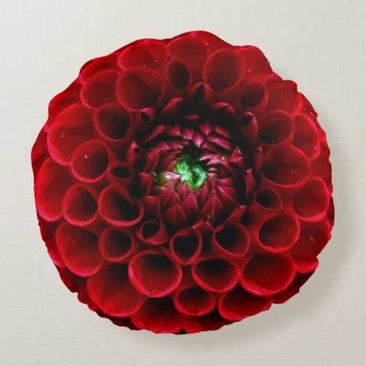 赤いダリアの花の円形の枕 ラウンドクッション (裏面)