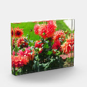 赤いダリアの花 フォトブロック (左)