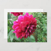 赤いダリアの花，芽，写真，緑，シクロメン ポストカード (正面/裏面)