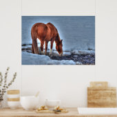 赤いダン牧場の馬の写真をウマ科の飲む ポスター (キッチン)