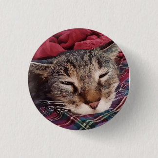 赤いチェック柄のフランネルで眠るクリスマスの猫、三毛猫 缶バッジ