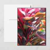 赤いチタニウムの葉 ポストカード (正面/裏面)