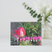 赤いチューリップとピンク色の出血ハート花 ポストカード (スタンド正面)