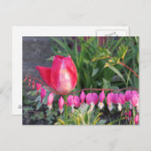 赤いチューリップとピンク色の出血ハート花 ポストカード (正面/裏面)