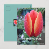 赤いチューリップと雨の花束 本当のあなたに ポストカード (正面/裏面)