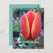 赤いチューリップと雨滴のフローラがあなたに忠実 ポストカード (正面/裏面)