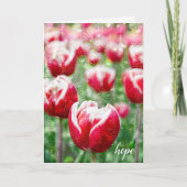 赤いチューリップと雨粒が窓に付いた悔やみや弔慰 カード (正面)