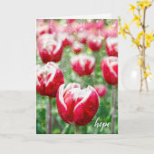 赤いチューリップと雨粒が窓に付いた悔やみや弔慰 カード (黄色い花)