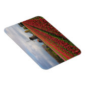 赤いチューリップと風車 マグネット (右側)