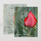 赤いチューリップのイースターブランチ招待状 招待状 (正面/裏面)