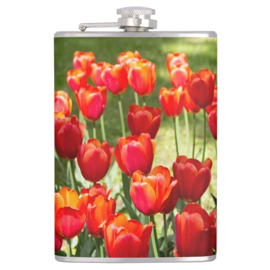 赤いチューリップの大きな畑 フラスク (正面)