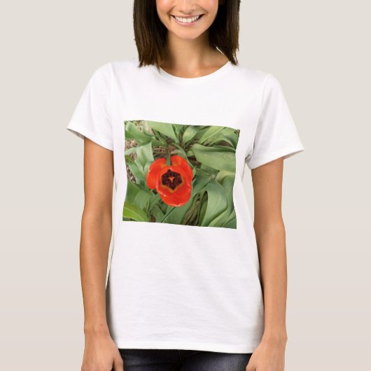 赤いチューリップの女性用Tシャツ Tシャツ (正面)