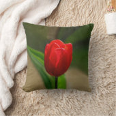 赤いチューリップの春の花 クッション (ブランケット)