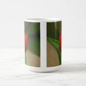 赤いチューリップの春の花 コーヒーマグカップ (中央)