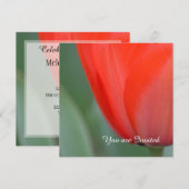 赤いチューリップの花の誕生日 招待状 (正面/裏面)