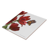 赤いチューリップの花束は(昆虫)オオカバマダラ、モナークによって訪問されます タイル (側面)