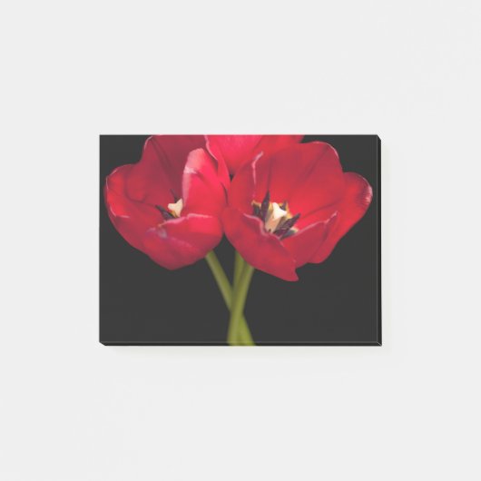 赤いチューリップの花黒い背景フローラの花 ポストイット (正面)