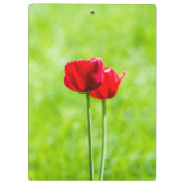 赤いチューリップの花2つ クリップボード (裏面)