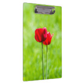 赤いチューリップの花2つ クリップボード (右)